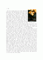 ‘랭보(Rimbaud)’의 생애와 『놀란 아이들 (Les Effarés)』분석 및 감상문 2페이지
