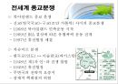이스라엘 팔레스타인 분쟁 학습지도안  37페이지