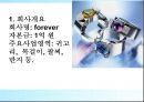 스와질란드국가분석, 스와질란드마케팅전략, 스와질란드사업계획 13페이지