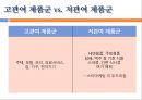  스타마케팅,스타마케팅전략,스타광고분석,연예인광고,드라마광고분석,광고분석,광고분석전략,간접광고,직접광고 7페이지