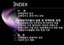  신행정수도이전,정부정책사업,갈등 및 정책변동 2페이지