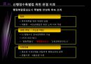  신행정수도이전,정부정책사업,갈등 및 정책변동 14페이지
