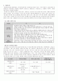 신제품개발성공사례,한경희스팀청소기성공사례,신제품성공사례,신제품개발 5페이지