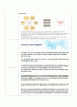아시아나항공_ 기업분석, 항공운송업 특징,브랜드마케팅,서비스마케팅,글로벌경영,사례분석,swot,stp,4p 5페이지