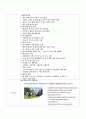 아시아나항공_ 기업분석, 항공운송업 특징,브랜드마케팅,서비스마케팅,글로벌경영,사례분석,swot,stp,4p 10페이지