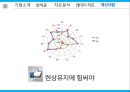  아모레퍼시픽_화장품시장마케팅,브랜드마케팅,서비스마케팅,글로벌경영,사례분석,swot,stp,4p 13페이지