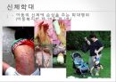 아동학대, 가정문제,사회문제,사회이슈 9페이지