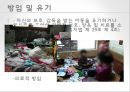 아동학대, 가정문제,사회문제,사회이슈 12페이지