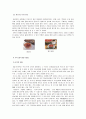 한국의 명절음식 (설, 대보름, 단오, 추석, 한식, 유두, 삼복, 동지의 유래, 세시풍속, 음식) 12페이지