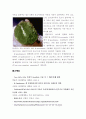  결정구조 5페이지