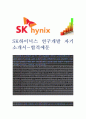 (SK하이닉스 자기소개서-연구개발) SK하이닉스 자소서, SK하이닉스 자기소개서, SK하이닉스 자소서샘플 1페이지