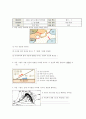 중학교 과학과  4단원. 물의 순환과 일기변화 2. 일기변화 - (4) 기단과 전선의 일기  8페이지