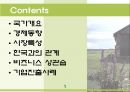 폴란드 (Poland)  2페이지