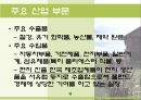 폴란드 (Poland)  10페이지
