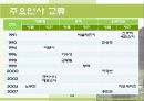 폴란드 (Poland)  15페이지