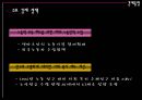 덴마크 (Denmark)  18페이지