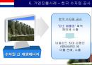 네덜란드 국가 개요 41페이지