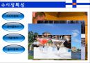 필란드 국가개요 16페이지