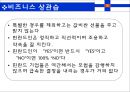 필란드 국가개요 29페이지