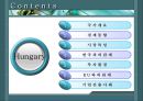  헝가리 (Republic of hungary)  2페이지