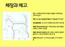 미국컨넬클럽(AKC)에 따른 견종(犬種).pptx 5페이지