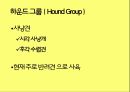 미국컨넬클럽(AKC)에 따른 견종(犬種).pptx 33페이지