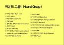 미국컨넬클럽(AKC)에 따른 견종(犬種).pptx 34페이지