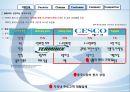 글로벌 서비스 전략 비교 - 세스코 (Cesco) & 터미닉스 (Terminix).pptx 5페이지