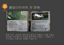  종업원,소비자의 이해관계를 중시하는 경영 23페이지