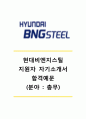 [현대비앤지스틸 자기소개서] 현대비앤지스틸자소서,현대BNG스틸자기소개서,현대BNG스틸자소서,현대비엔지스틸공채자기소개서,현대비앤지스틸채용자소서 1페이지