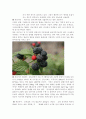 술 조사 (문배주 & 복분자주 & 가시오가피주) 3페이지