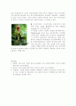 술 조사 (문배주 & 복분자주 & 가시오가피주) 7페이지