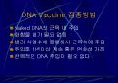 Hepatitis C 19페이지