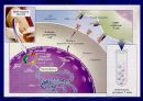 Hepatitis C 20페이지