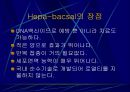 Hepatitis C 22페이지