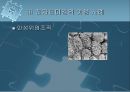  의료용 현미경의 원리와 적용 사례  27페이지