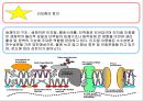 리포좀을 이용한 약물전달의 원리와 응용  5페이지