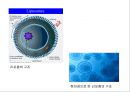 리포좀을 이용한 약물전달의 원리와 응용  7페이지