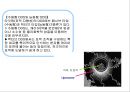 리포좀을 이용한 약물전달의 원리와 응용  16페이지