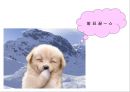 리포좀을 이용한 약물전달의 원리와 응용  24페이지