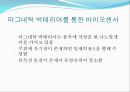 초고감도 나노바이오센서  7페이지