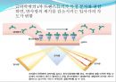 초고감도 나노바이오센서  18페이지