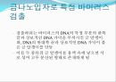 초고감도 나노바이오센서  19페이지