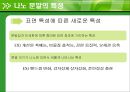 나노 분말 제조법  5페이지