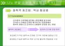 나노 분말 제조법  13페이지
