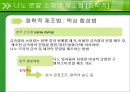나노 분말 제조법  14페이지
