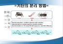 키토산을 이용한 약물전달.ppt 10페이지