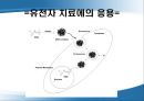 키토산을 이용한 약물전달.ppt 34페이지