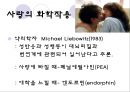 사랑 23페이지