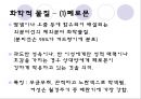 사랑 24페이지